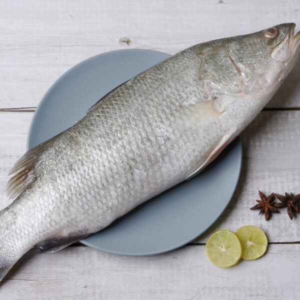 Koduva / Bekti / Asal Koduva